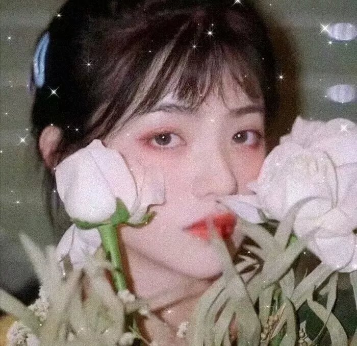 少女与狼